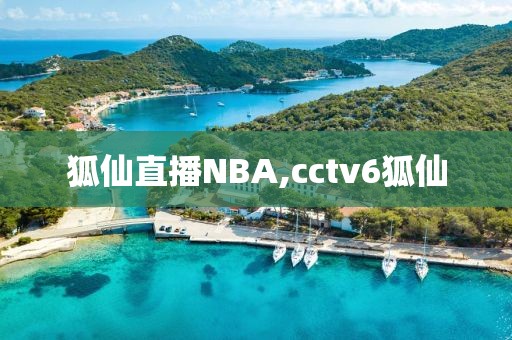 狐仙直播NBA,cctv6狐仙