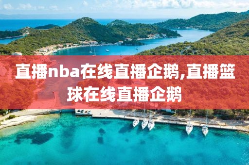 直播nba在线直播企鹅,直播篮球在线直播企鹅