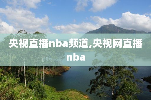 央视直播nba频道,央视网直播nba