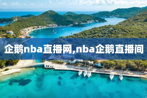 企鹅nba直播网,nba企鹅直播间