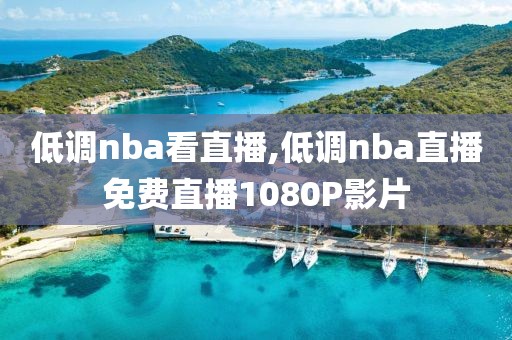 低调nba看直播,低调nba直播免费直播1080P影片