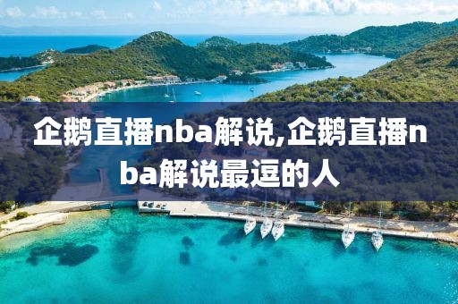 企鹅直播nba解说,企鹅直播nba解说最逗的人